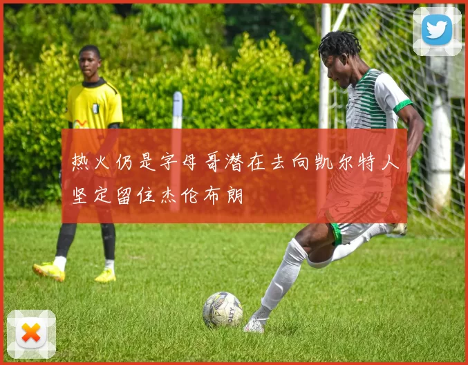 热火仍是字母哥潜在去向凯尔特人坚定留住杰伦布朗